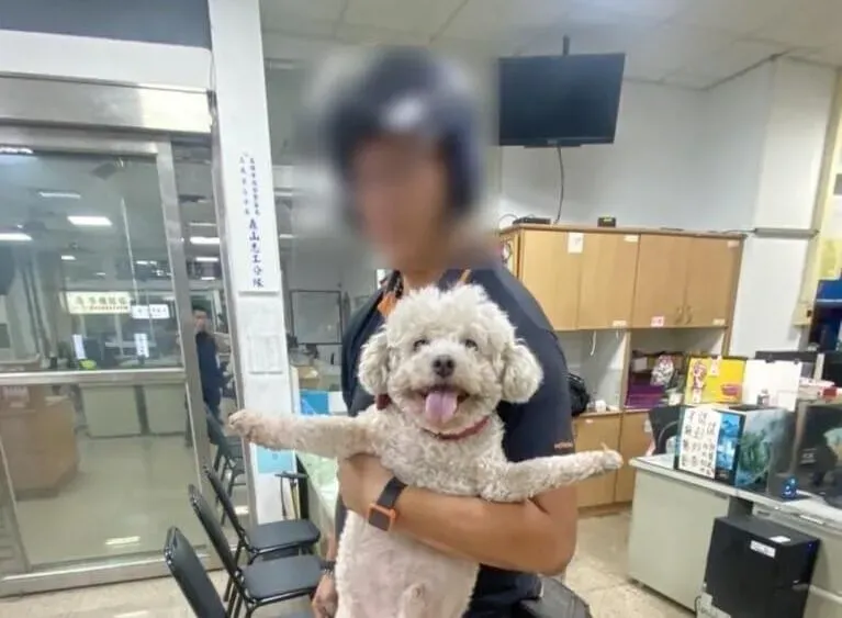 太頑皮了！「棒球」又蹺家玩耍迷路　高雄警一眼認出逃家慣犯