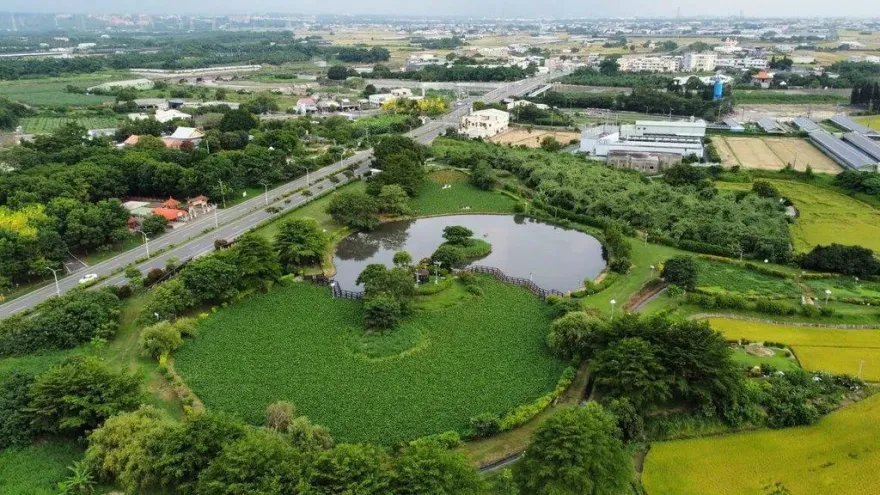 嘉縣大林明華溼地生態園區　復育有成吸引大量獨角仙覓食飛舞