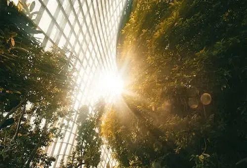 台中貴婦「頂大太陽」走路趕下午茶熱昏　體溫飆42℃插管搶命