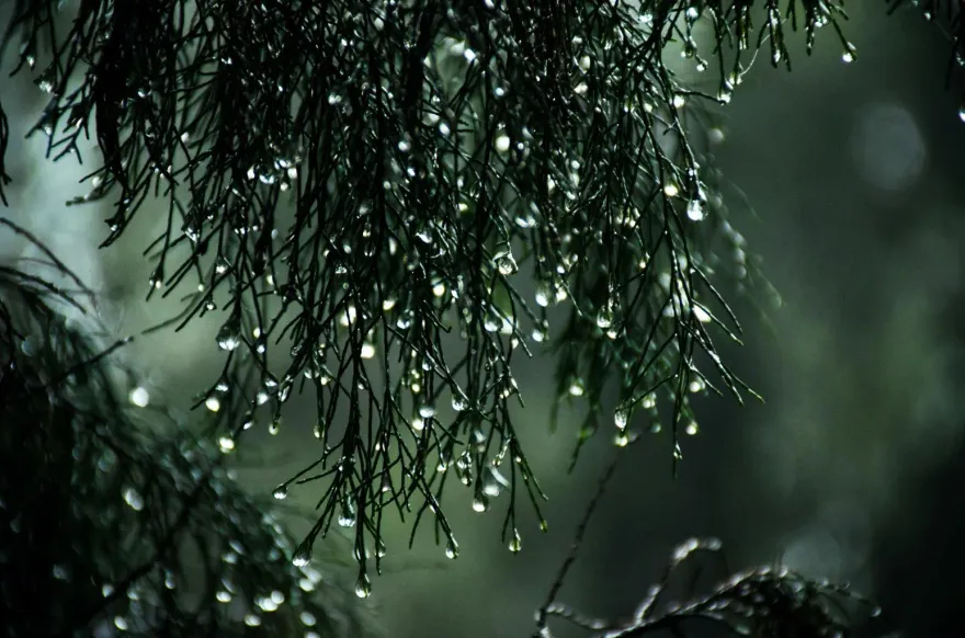 西南風要移動了！中南部山區「這時候」降雨趨緩　沿海地區迎雨勢