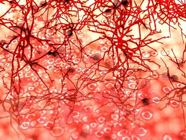 不是肌肉關節退化！走一走腳痛、無力　小心「間歇性跛行」恐是動脈塞住