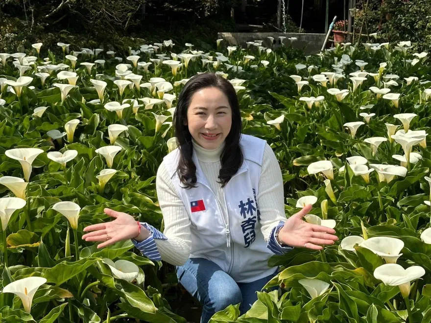 士林地院駁回當選無效之訴　林杏兒：冤屈終於沉冤得雪