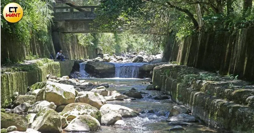 餓死或淹死！人工駁坎斷生路　釣魚聖地成山羌絕命陷阱