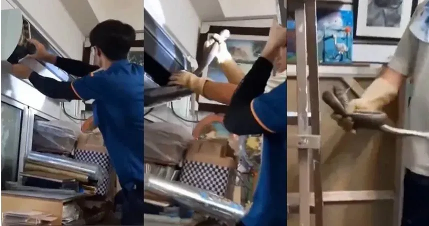 冷氣通風口經見「有蛇出沒」！　屋主家人嚇傻：好大隻