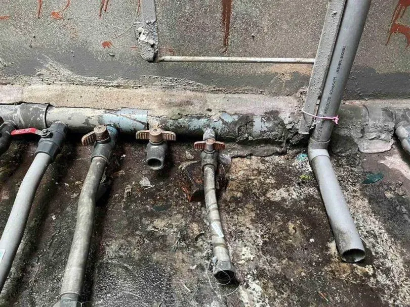 53歲水電工手握千萬元遺產　「抖內」女主播1年敗光光