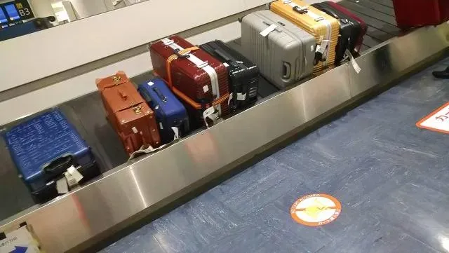 旅遊潮來臨！這5樣物品別帶回國　新鮮肉類、水果為大方向