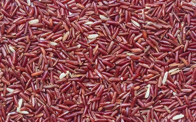 紅麴降膽固醇、保護心血管！專家示警：攝取超過「這個量」恐傷肝腎