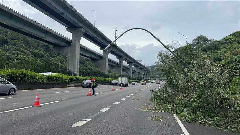 快訊/杜蘇芮災情！國1北上泰山段　路樹、路燈連根拔、回堵9公里
