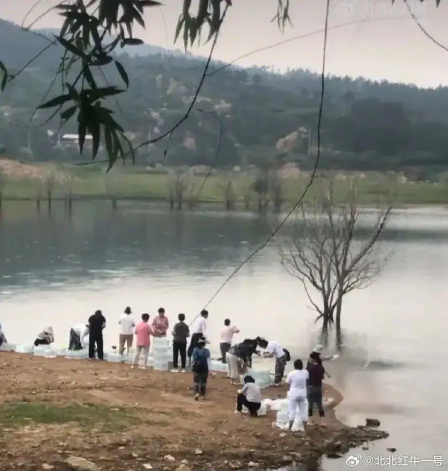 影/謎之行為！群聚水庫「放生」礦泉水？當地水務局：水質檢測無異常