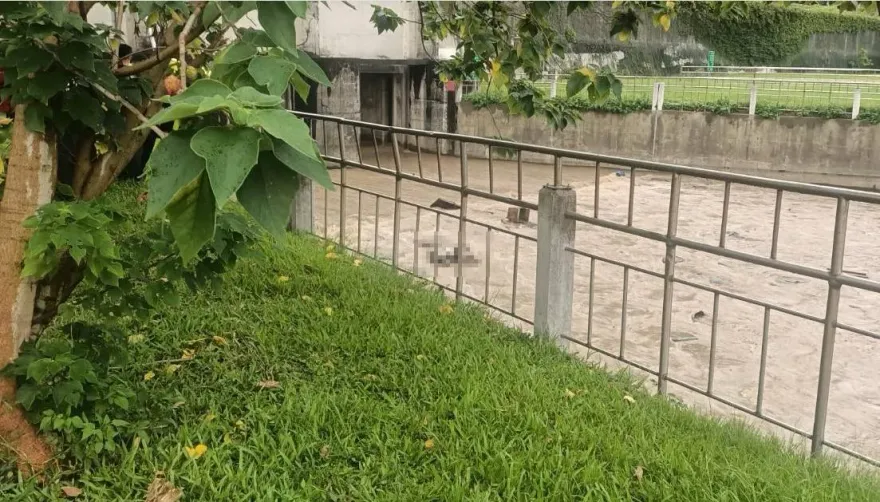 快訊/中和恐龍公園出水口有浮屍！　落水男身分釐清中