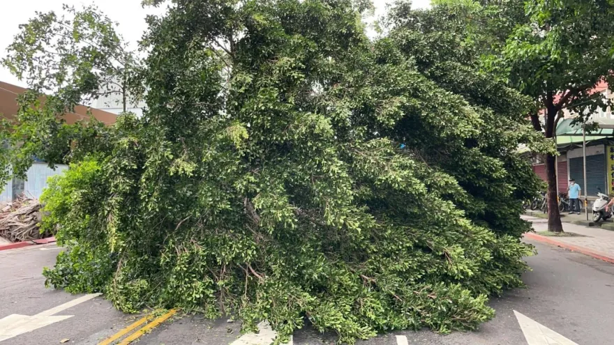卡努災情/16級風釀停電　全台還有1540戶搶修中