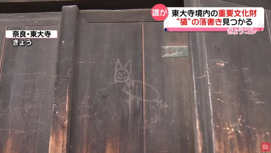 影/又有古蹟遭殃！奈良東大寺木門被破壞　惡劣遊客手癢畫貓咪
