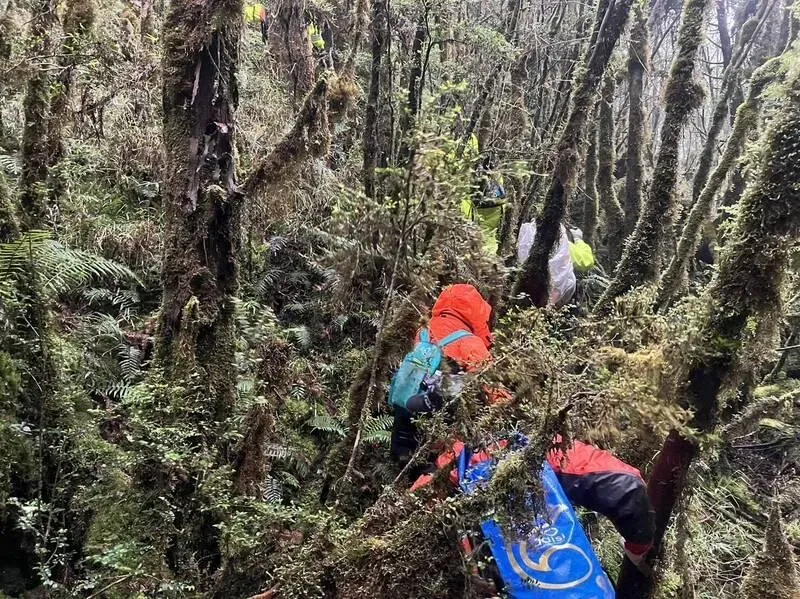 官方宣布放棄！男子爬太平山三星池人間蒸發2周　家屬淚請民間搜救隊接手