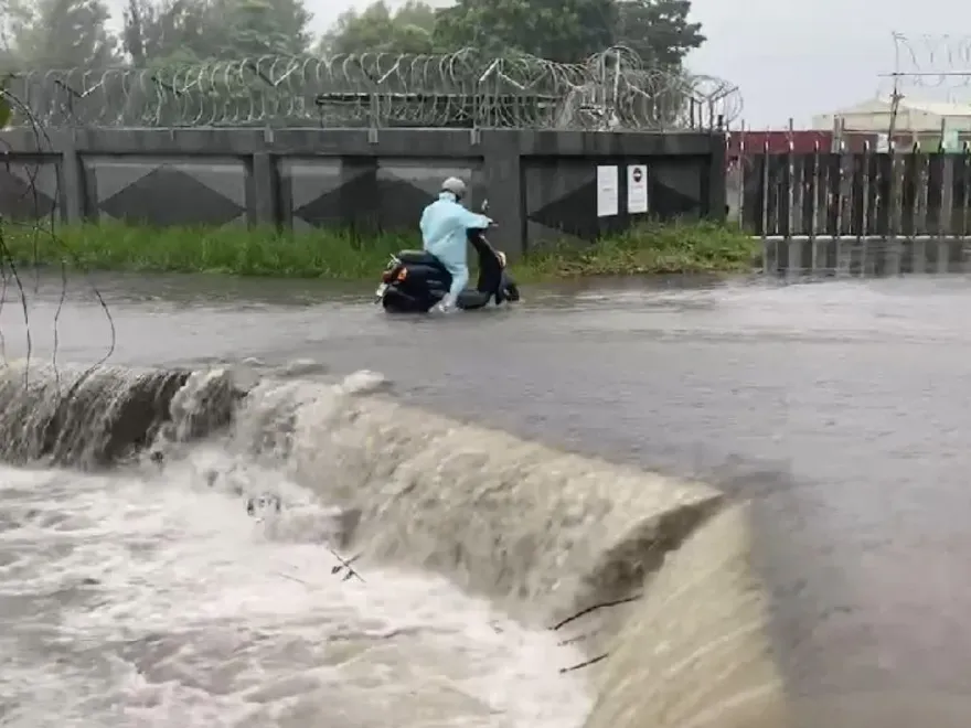 台南暴雨未現「崑山水上樂園」、落跑天鵝　網友歸功三爺溪整治成效