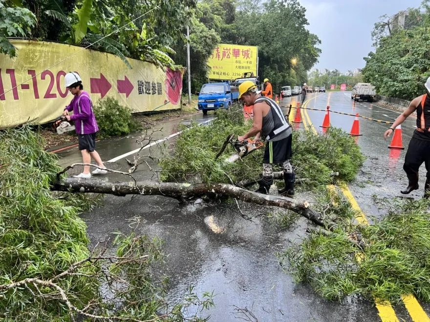 快訊/雙北大雷雨開炸！新店路樹倒塌阻路　現場交管中