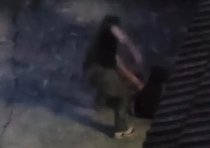 影/豬狗不如！雲林逆子父親節爆揍老母親　她倒地哀嚎還慘被拖行凌虐