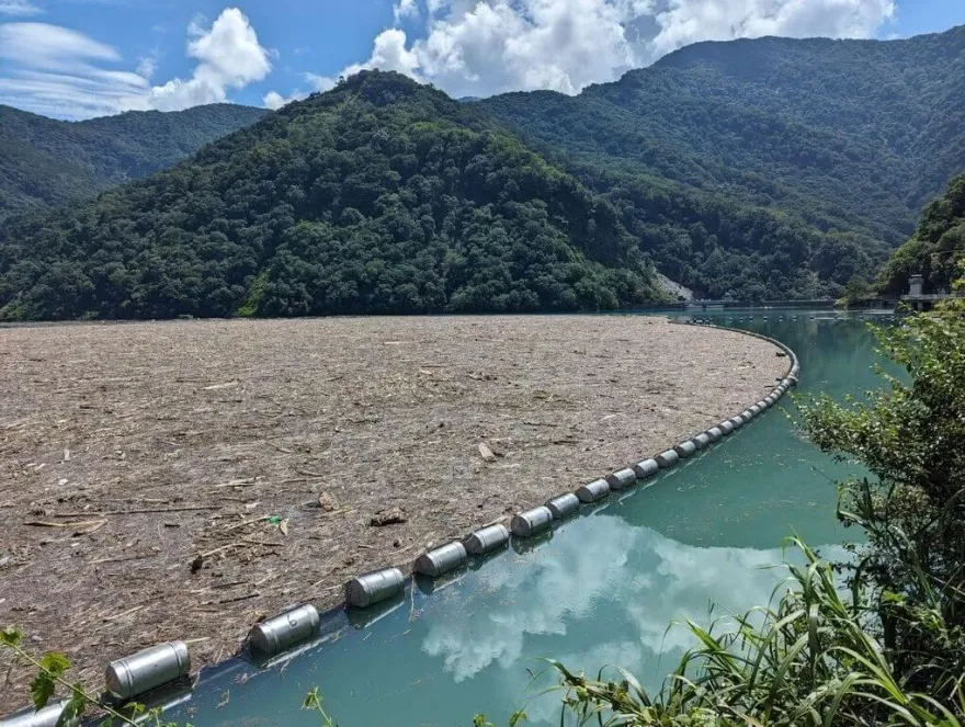 霧社水庫現大量漂流木　台電全力清除需時逾1個月