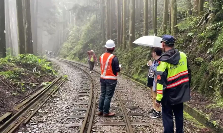 玩命！阿里山森鐵當路走、82遊客悠哉賞景　恐吃5萬元罰單