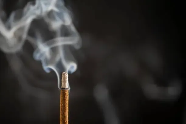 普渡攻略/拜拜「做錯這些事」！好兄弟吃出問題恐影響全公司