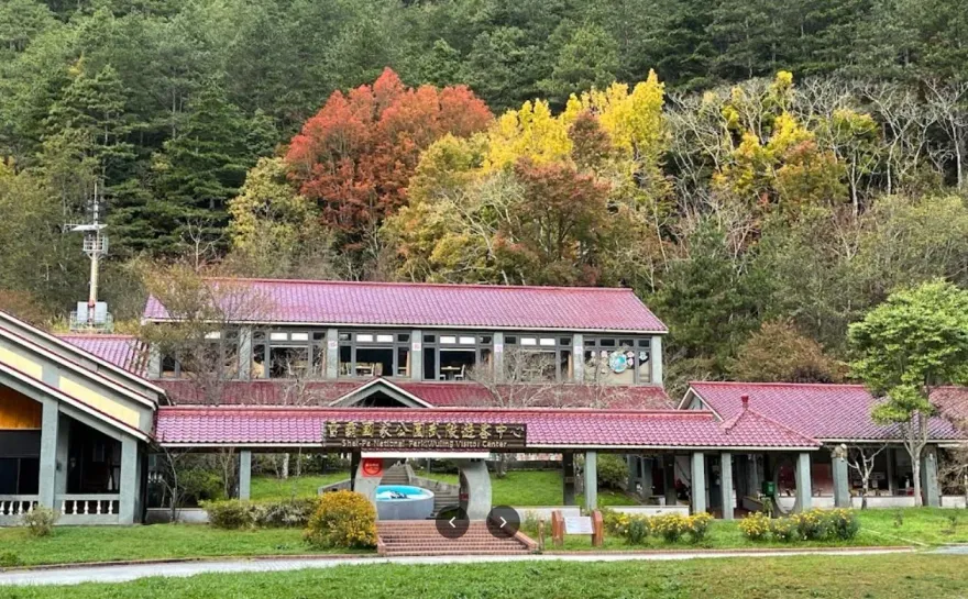 快訊/武陵國民賓館、環山部落大停電！疑「動物碰觸」導致電線桿失火
