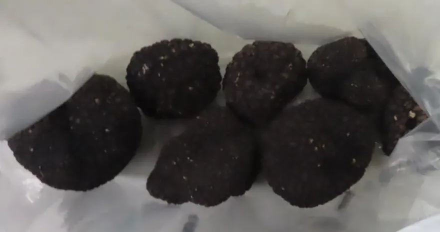 快訊/義大利「黑松露」7度被抓重金屬超標！食藥署行文駐台辦事處