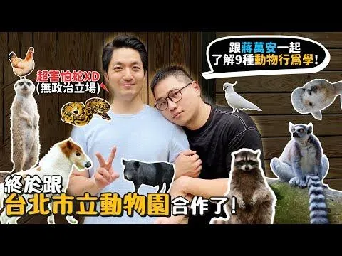 綠側翼翻船！誣指寵物達人YTR有政治立場　全網不忍了開刷反擊