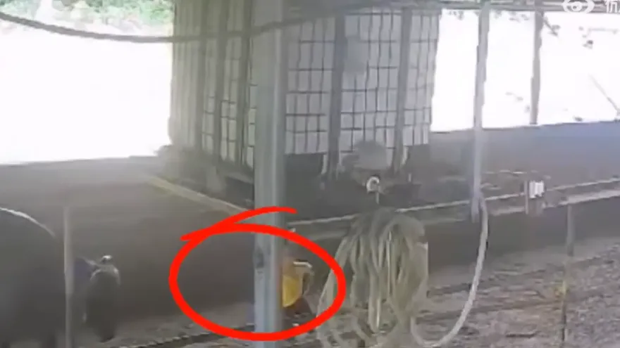 影/恐怖畫面曝！6歲童牛棚撿鞋疑驚動公牛　慘遭大力頂撞「內臟出血亡」