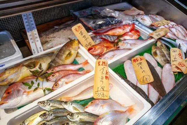 日本排核廢水到底有沒有影響？食藥署：將監測13種水產品的氚含量