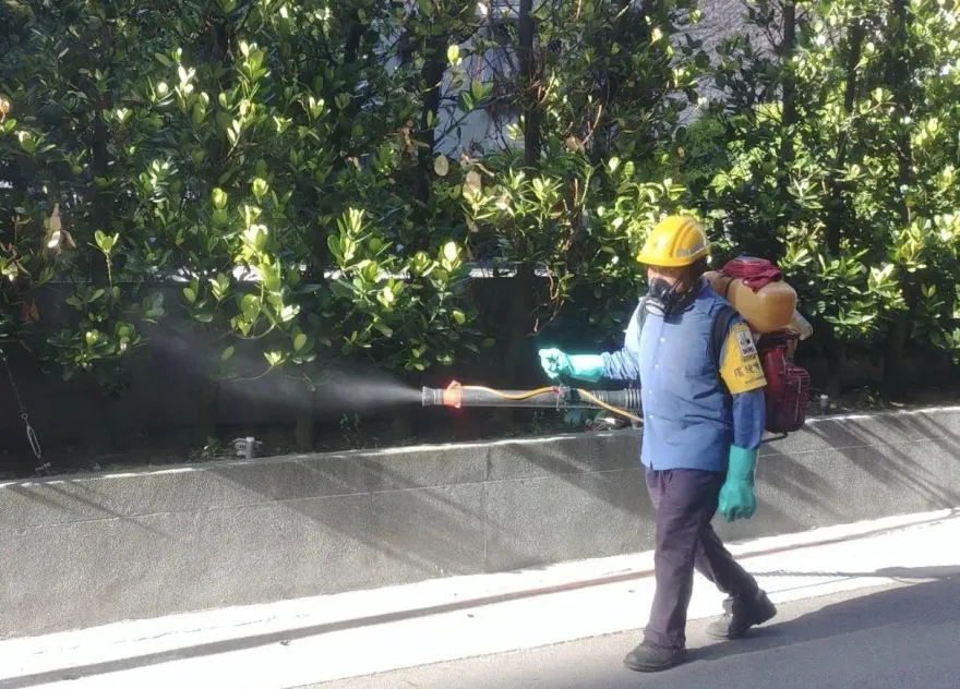北市增2例本土登革熱皆有台南活動史！衛生局籲務必清除孳生源