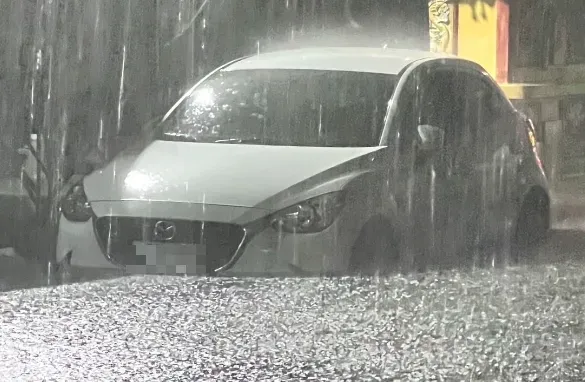 海葵颱風/高雄入夜雨彈狂炸！水淹半個輪胎高　路樹遭強風吹倒