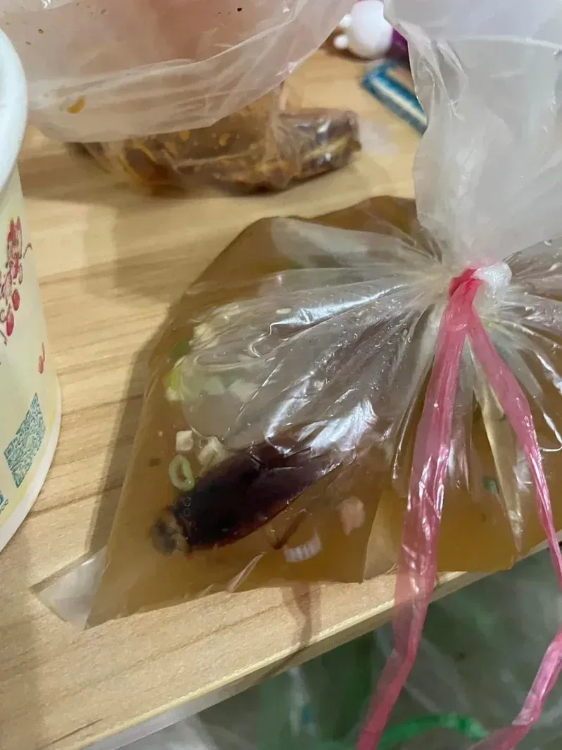 颱風天點外送驚見漂浮巨蟑螂　宜蘭牛肉麵店老闆：該改進改善都會做