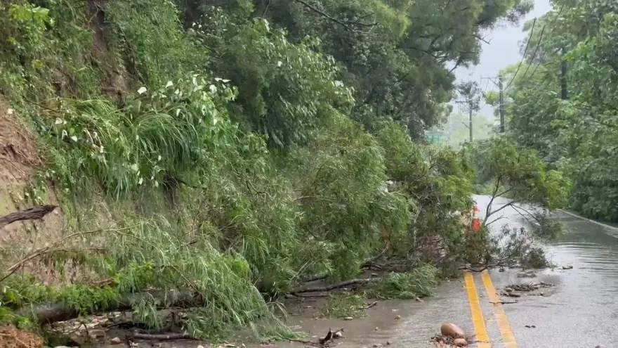 快訊/彰化員林泥流傾瀉！路樹滑落擋道　害3班客運誤點
