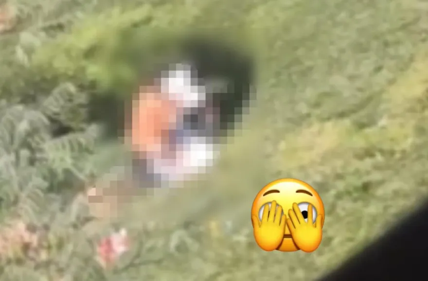 好害羞！情侶檔暢快呈現「熱情的草坪」打野戰戲碼　連房仲賣車業務攏來啊
