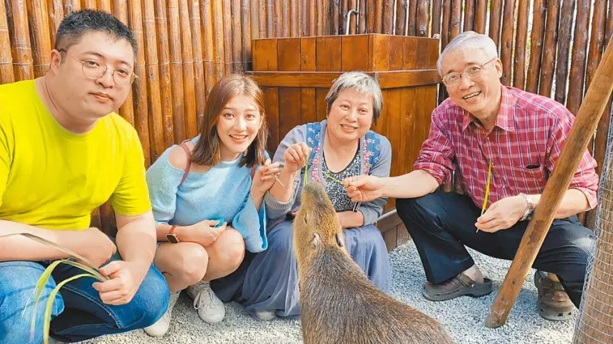 【旺旺孝親獎】阿嬤外婆接連過世　林逸欣陪爸媽走出喪親痛