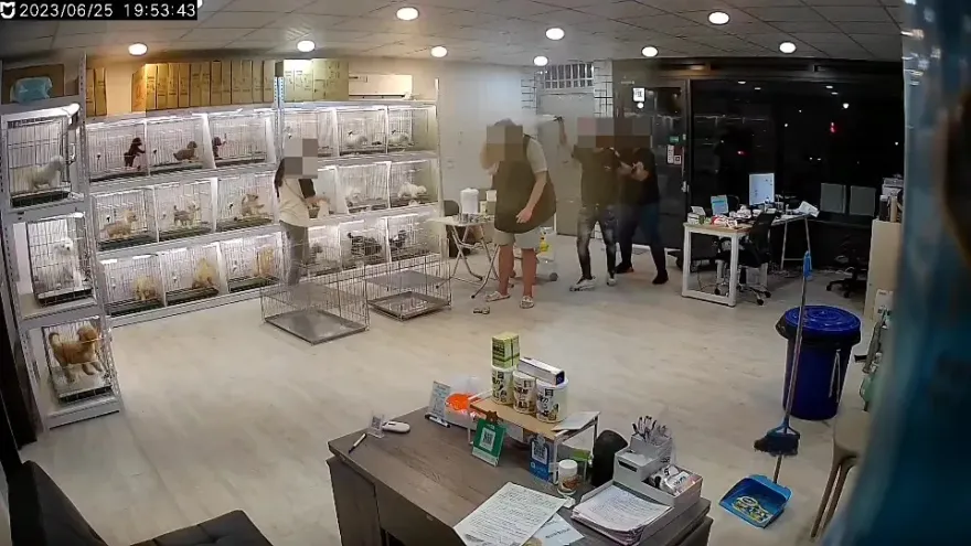 彰化寵物店「員工慘遭砍臂」昏迷至今　2惡煞無悔意羈押禁見