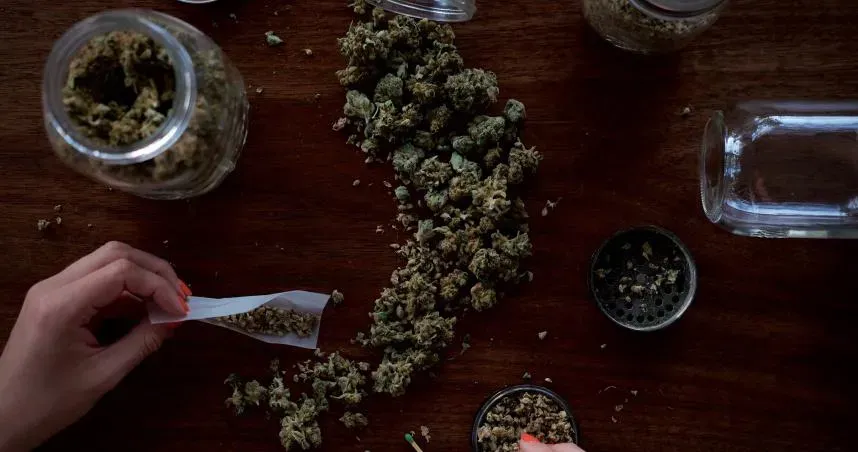 泰國未來6個月內取消「娛樂用大麻」！全數回歸醫療用途