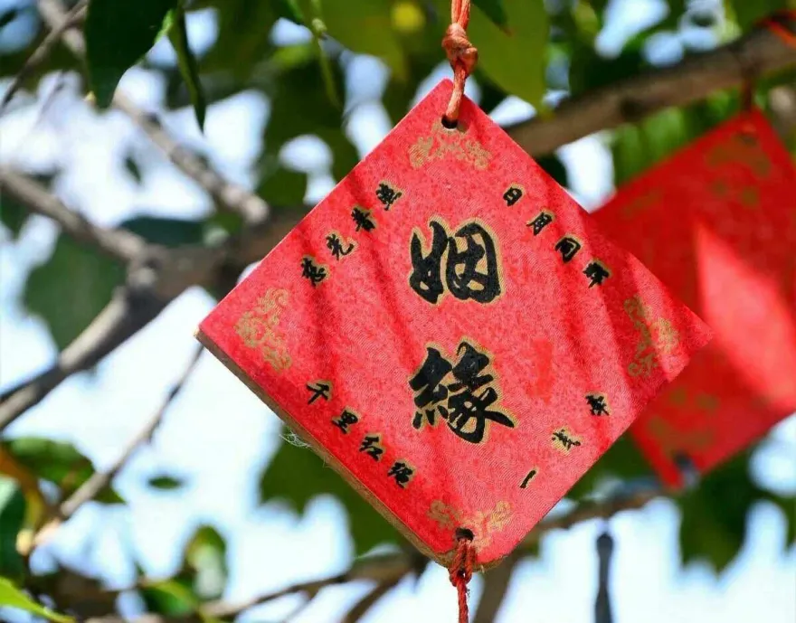 中秋節求姻緣！民俗專家曝「家中擺這東西」還可拜月老