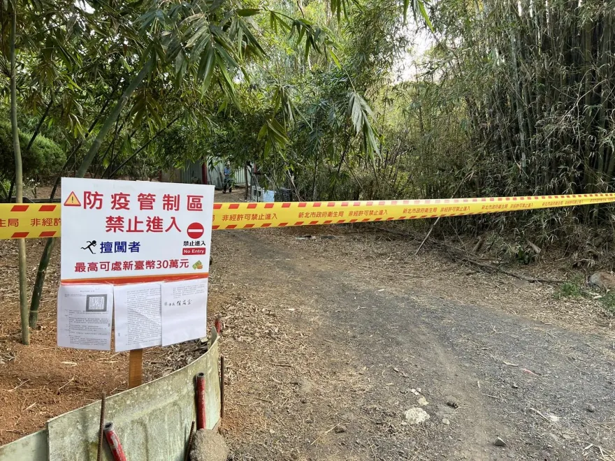 快訊/新北市登革熱+5例！八里長坑道、五股德音區域筍園列高風險場域　籲勿進入管制區