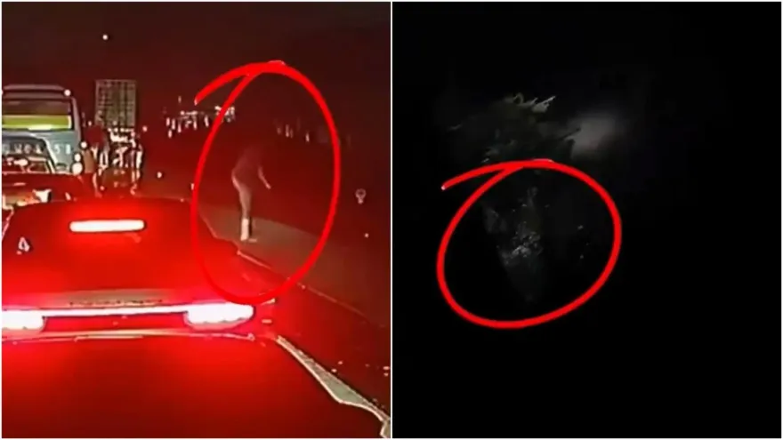 影/人在冏途！開夜車塞爆偏又尿急　誤把高架圍欄當分隔島「一躍而下」