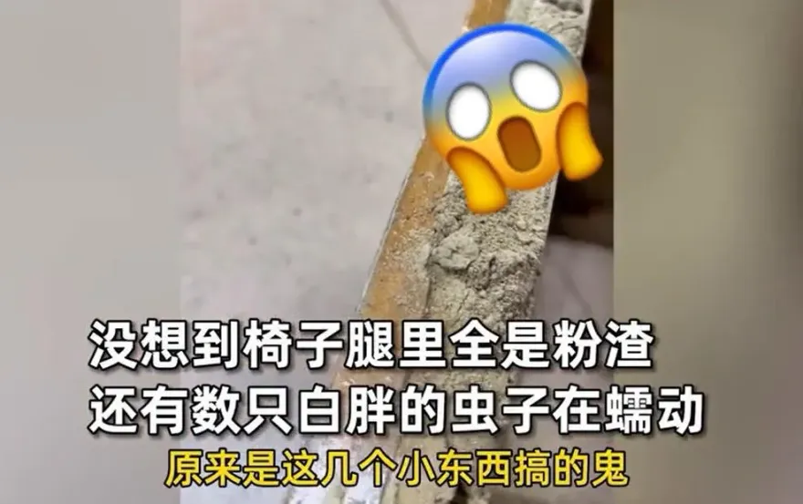 老舊木椅深夜突傳吱吱怪聲！護理師剖開椅腳驚見「20年老員工」