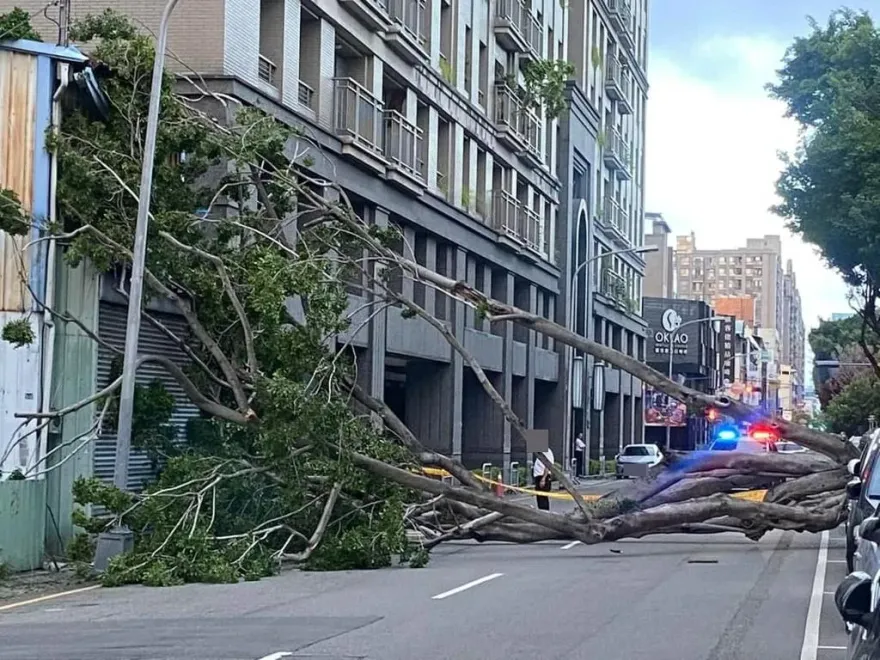 小犬颱風/暴風狂吹！台中多處路樹倒塌　轎車、鐵皮屋全遭殃