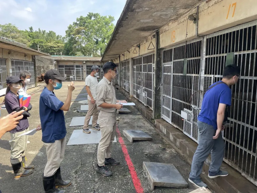 「狒狒脫逃」調查報告出爐　竹縣府將監督六福村完成植晶片、設施改善
