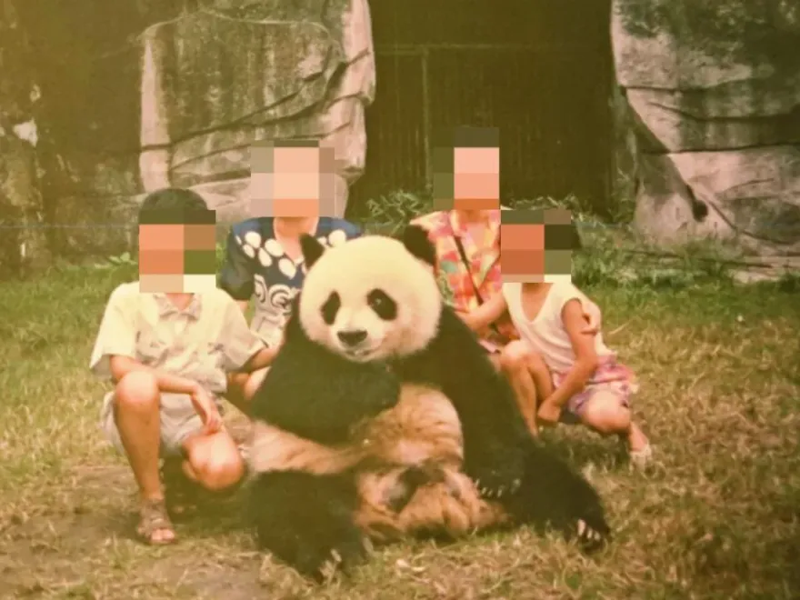30年前「人與貓熊合照」曝光！不給蘋果就不配合…網友暴動超羨慕