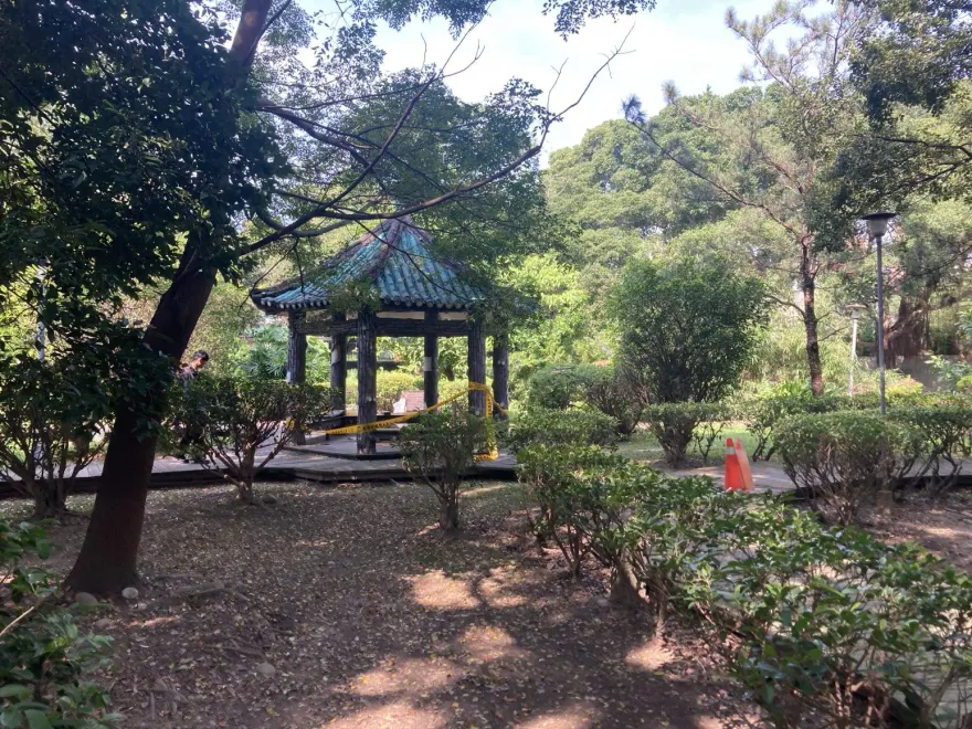 快訊/老兄太神了！街友手指被砍斷還繼續睡　樹林警急追兇
