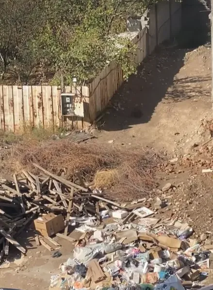 狗界阿湯哥？超狂黑狗「猛跳下5樓高工地」　驚險畫面曝光...全場看傻
