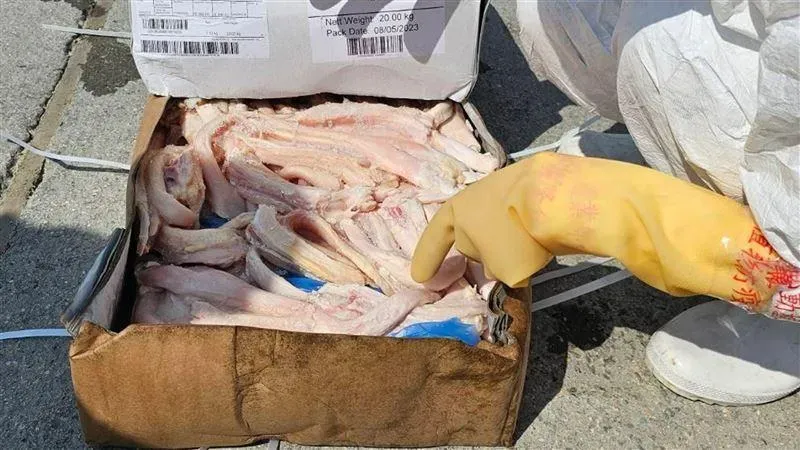 可惡！大陸船暗渡陳倉走私106公噸牛、羊肚　來自巴西口蹄疫區