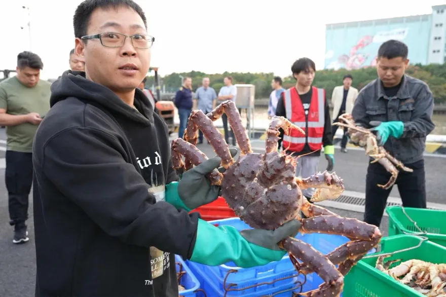 改吃俄羅斯帝王蟹！陸海關總署公布最新數據　9月日本進口水產「0資料」