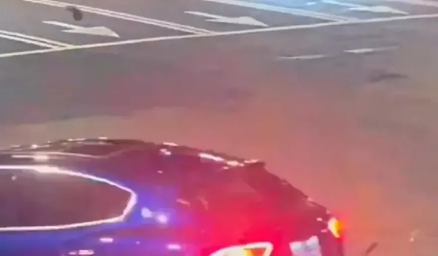 「海神貴婦」撞死文大生　家世遭起底！擁數輛超跑、老公曾是警友站長