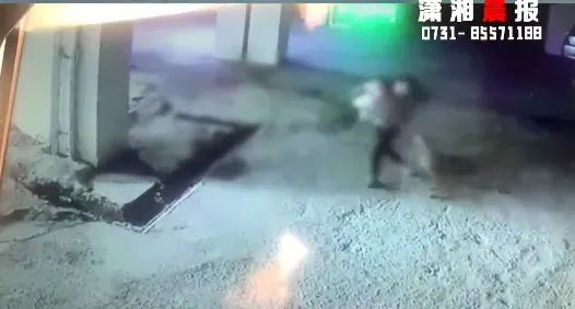 影/又傳未繫繩犬隻攻擊事件！60歲嬤為護愛孫遭惡狗撕咬「左手恐殘廢」