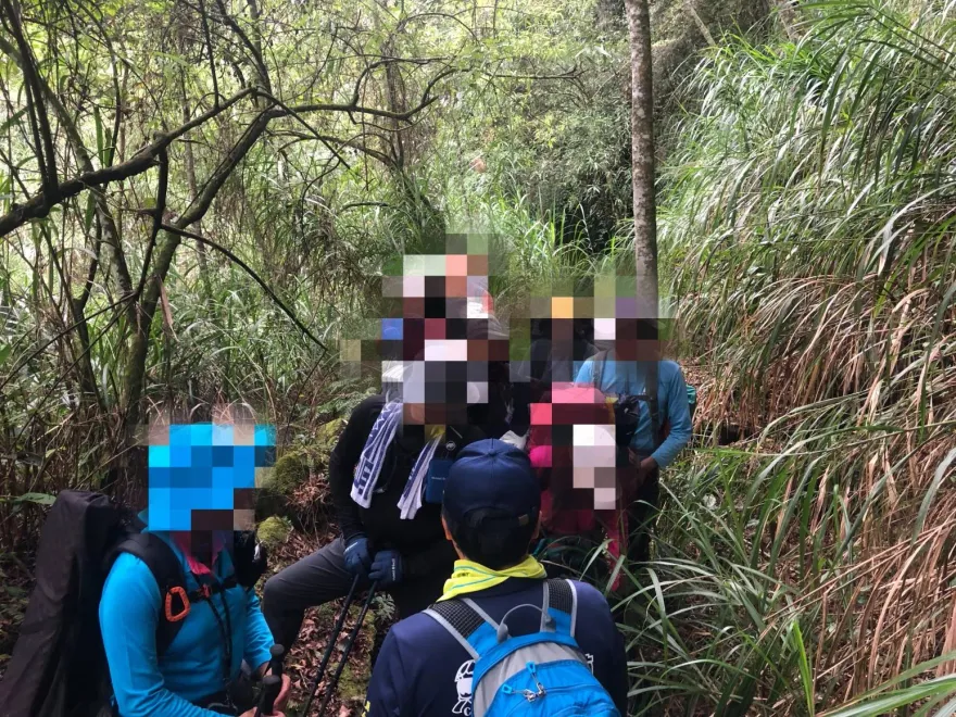 虎頭蜂最近很兇！水漾森林「2天3團22人遭螫」　登山4大點注意